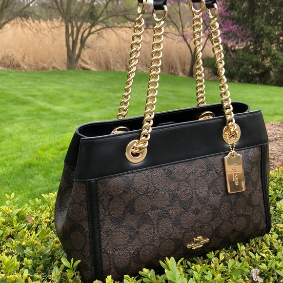 Coach Handbags - NWT COACH F39711 BROOKE CHAIN CARRYALL SHOULD BAG